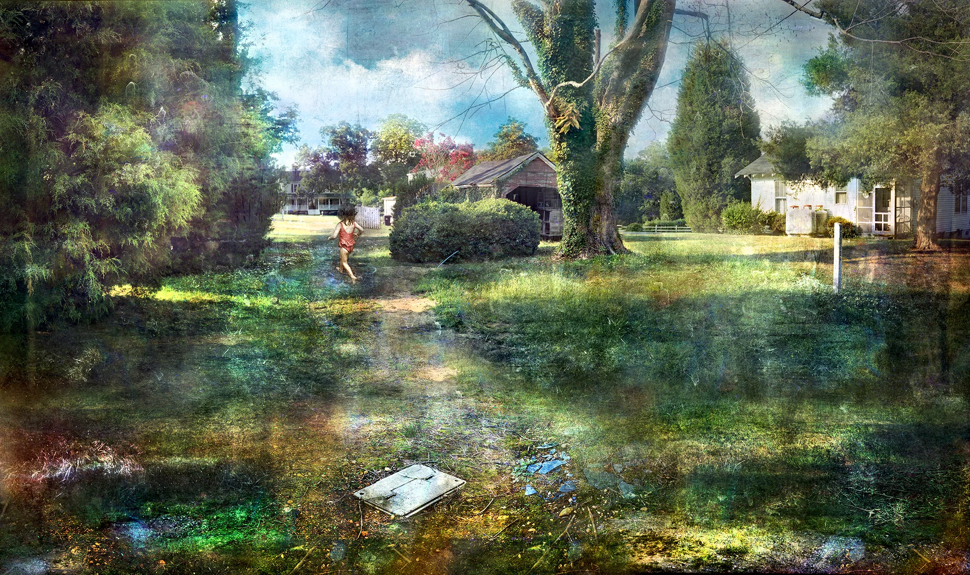 David Douglas - Mixed Media Artist | Iris Gallery | Contemporary